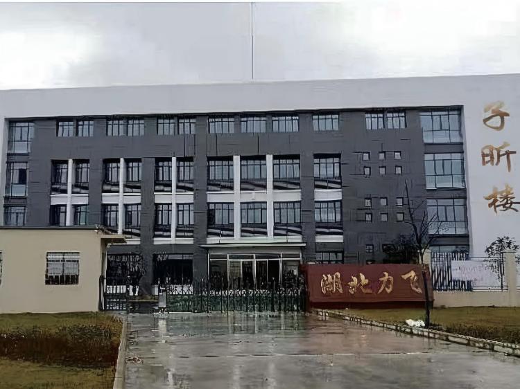 湖(hú)北(běi)力飛(fēi)航空(kōng)科(kē)技(jì)有(yǒu)限公司辦公樓 湖(hú)北(běi)力飛(fēi)航空(kōng)科(kē)技(jì)有(yǒu)限公司辦公樓